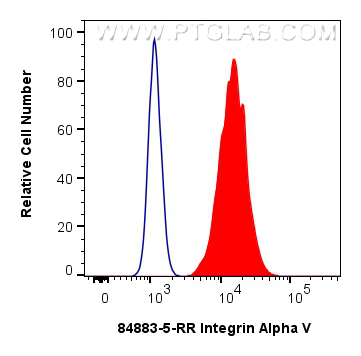 Flow cytometry (FC) experiment of A549 cells using Integrin Alpha V Recombinant monoclonal antibody (84883-5-RR)