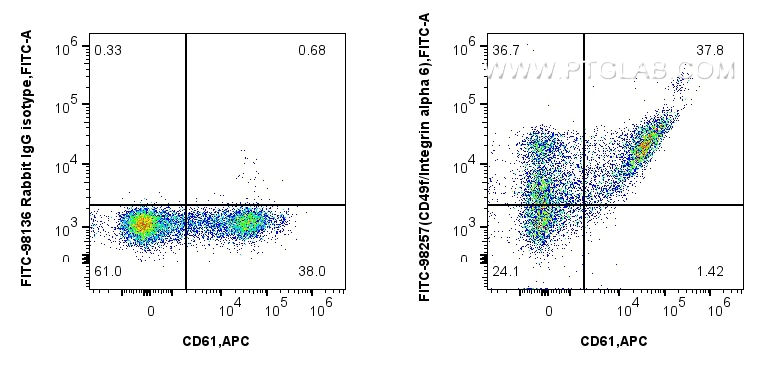 Flow cytometry (FC) experiment of human peripheral blood lymphocytes using FITC Plus Anti-Human Integrin alpha 6 Rabbit Recom (FITC-98257)