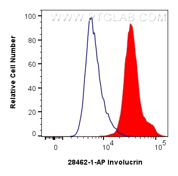 Flow cytometry (FC) experiment of A431 cells using Involucrin Polyclonal antibody (28462-1-AP)