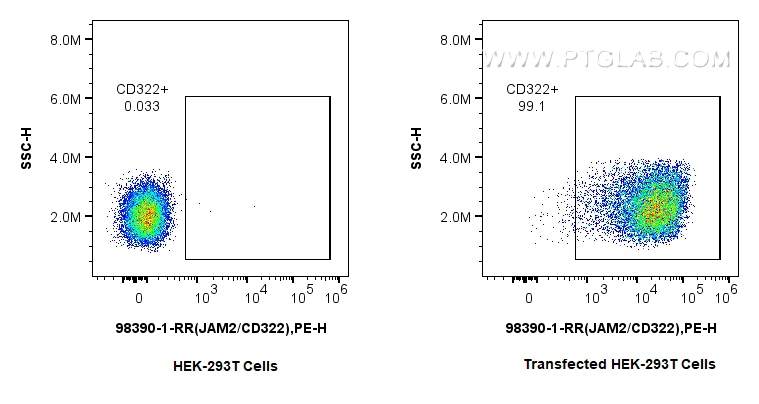 Flow cytometry (FC) experiment of Transfected HEK-293T cells using Anti-Human JAM2/CD322 Rabbit Recombinant Antibody (98390-1-RR)