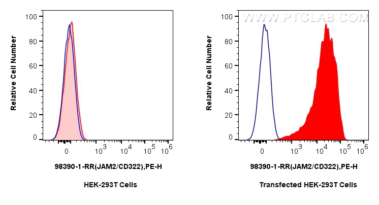 Flow cytometry (FC) experiment of Transfected HEK-293T cells using Anti-Human JAM2/CD322 Rabbit Recombinant Antibody (98390-1-RR)