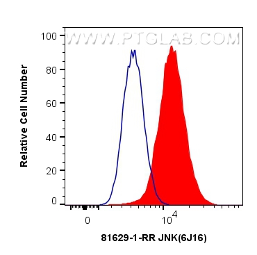 Flow cytometry (FC) experiment of HeLa cells using JNK Recombinant antibody (81629-1-RR)