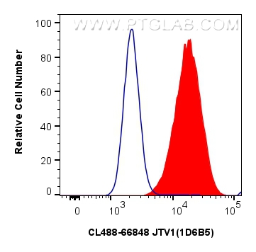 Flow cytometry (FC) experiment of HeLa cells using CoraLite® Plus 488-conjugated JTV1 Monoclonal anti (CL488-66848)