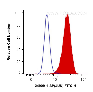 Flow cytometry (FC) experiment of NIH/3T3 cells using JUN Polyclonal antibody (24909-1-AP)