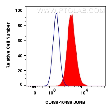 Flow cytometry (FC) experiment of MCF-7 cells using CoraLite® Plus 488-conjugated JUNB Polyclonal anti (CL488-10486)