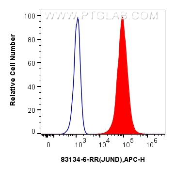 Flow cytometry (FC) experiment of A431 cells using JUND Recombinant antibody (83134-6-RR)