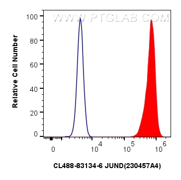 Flow cytometry (FC) experiment of HeLa cells using CoraLite® Plus 488-conjugated JUND Recombinant ant (CL488-83134-6)