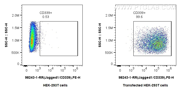 Flow cytometry (FC) experiment of Transfected HEK-293T cells using Anti-Human Jagged1/CD339 Rabbit Recombinant Antibo (98243-1-RR)