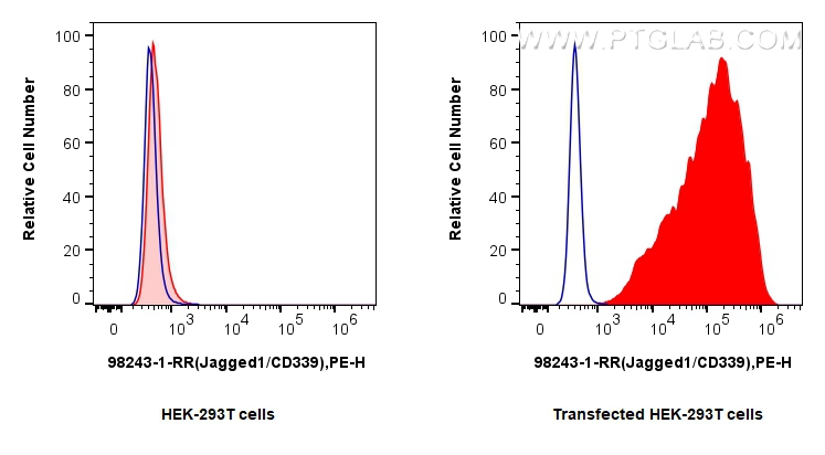 Flow cytometry (FC) experiment of Transfected HEK-293T cells using Anti-Human Jagged1/CD339 Rabbit Recombinant Antibo (98243-1-RR)