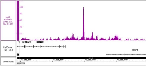 JunD antibody (pAb) tested by ChIP-Seq Chromatin immunoprecipitation (ChIP) was performed using the ChIP-IT High Sensitivity Kit (Cat. No. 53040) with 30 ug of chromatin from human endometrial stromal cell chromatin and 4 ug of JunD antibody. ChIP DNA was sequenced on the Illumina HiSeq and 8.6 million sequence tags were mapped to identify JunD binding sites on chromosome 16. You can view the complete data set in the UCSC Genome Browser, starting at this specific location, here.