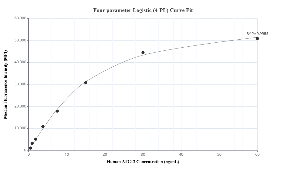 Cytometric bead array standard curve of MP01715-2, ATG12 Recombinant Matched Antibody Pair, PBS Only. Capture antibody: 84935-4-PBS. Detection antibody: 84935-2-PBS. Standard: Ag1791. Range: 0.469-60 ng/mL.