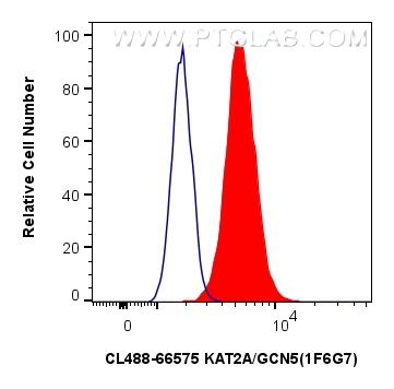 Flow cytometry (FC) experiment of U2OS cells using CoraLite® Plus 488-conjugated KAT2A/GCN5 Monoclona (CL488-66575)