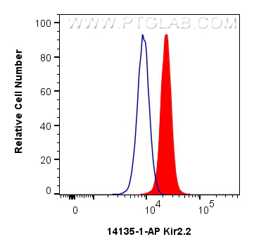 Flow cytometry (FC) experiment of HEK-293 cells using Kir2.2 Polyclonal antibody (14135-1-AP)