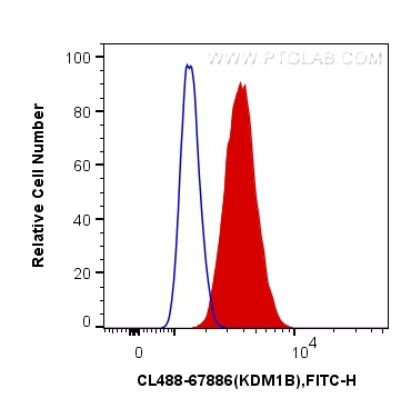 Flow cytometry (FC) experiment of SW 1990 cells using CoraLite® Plus 488-conjugated KDM1B Monoclonal ant (CL488-67886)