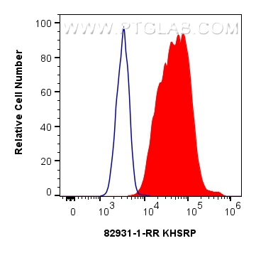 Flow cytometry (FC) experiment of HeLa cells using KHSRP Recombinant antibody (82931-1-RR)