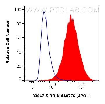 Flow cytometry (FC) experiment of U2OS cells using KIAA0776 Recombinant antibody (83047-5-RR)