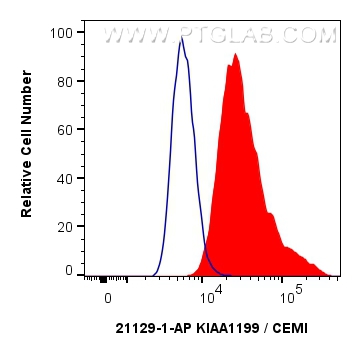 Flow cytometry (FC) experiment of HepG2 cells using KIAA1199 / CEMIP  Polyclonal antibody (21129-1-AP)