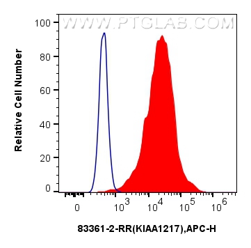 Flow cytometry (FC) experiment of MCF-7 cells using KIAA1217 Recombinant antibody (83361-2-RR)