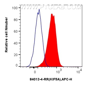 Flow cytometry (FC) experiment of SH-SY5Y cells using KIF5A Recombinant antibody (84013-4-RR)