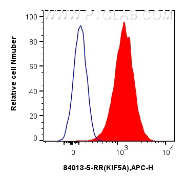 Flow cytometry (FC) experiment of SH-SY5Y cells using KIF5A Recombinant antibody (84013-5-RR)