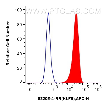 Flow cytometry (FC) experiment of HT-29 cells using KLF5 Recombinant antibody (83205-4-RR)