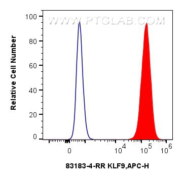 Flow cytometry (FC) experiment of A549 cells using KLF9 Recombinant antibody (83183-4-RR)