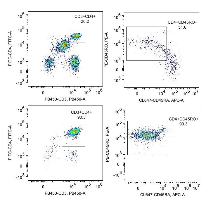 Following cell separation, cell suspension was stained with PB450-CD3 (UCHT1), FITC-CD4 (OKT4), PE-CD45RO (UCHL1) and CL647-CD45RA (HI100) antibodies. All viable cells are gated in the analysis. Left upper panel: CD3+CD4+ cells before selection; right upper panel: CD45RO+ cells within CD4+ cells. Left lower panel: CD3+CD4+ cells after selection; right lower panel: CD45RO+ cells within CD4+ cells. Human CD4 memory T cell isolation kit is tested using PBMC from three donors.