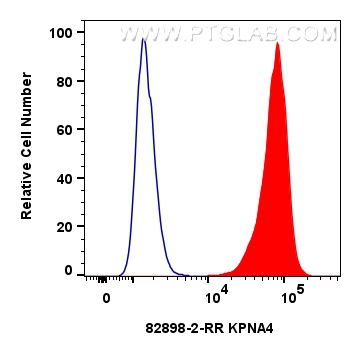 Flow cytometry (FC) experiment of A549 cells using KPNA4 Recombinant antibody (82898-2-RR)