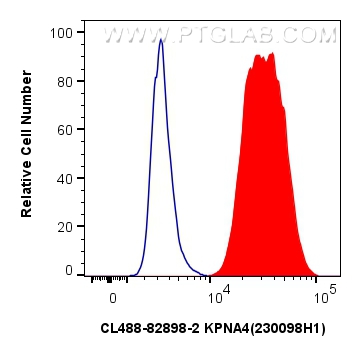 Flow cytometry (FC) experiment of U2OS cells using CoraLite® Plus 488-conjugated KPNA4 Recombinant an (CL488-82898-2)