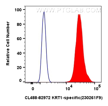 Flow cytometry (FC) experiment of A431 cells using CoraLite® Plus 488-conjugated KRT1-specific Recomb (CL488-82972)