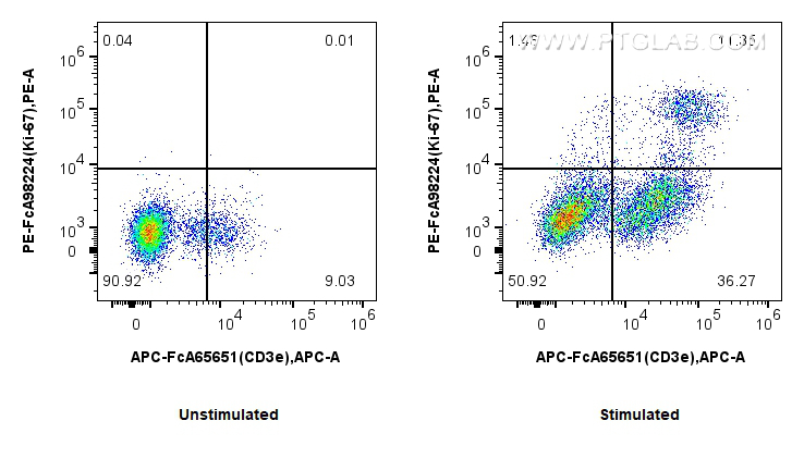 Flow cytometry (FC) experiment of mouse splenocytes using FcZero-rAb™ PE Anti-Mouse Ki-67 Rabbit Recombinant (PE-FcA98224)
