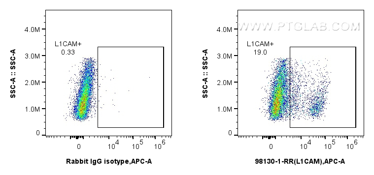 Flow cytometry (FC) experiment of SK-N-SH cells using Anti-Human L1CAM/CD171 Rabbit Recombinant Antibody (98130-1-RR)