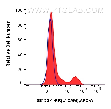 Flow cytometry (FC) experiment of SK-N-SH cells using Anti-Human L1CAM/CD171 Rabbit Recombinant Antibody (98130-1-RR)