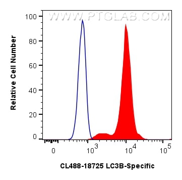 Flow cytometry (FC) experiment of NIH/3T3 cells using CoraLite® Plus 488-conjugated LC3B-Specific Polycl (CL488-18725)