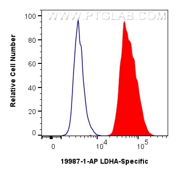 Flow cytometry (FC) experiment of HepG2 cells using LDHA-Specific Polyclonal antibody (19987-1-AP)