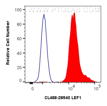 Flow cytometry (FC) experiment of MOLT-4 cells using CoraLite® Plus 488-conjugated LEF1 Polyclonal anti (CL488-28540)