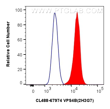 Flow cytometry (FC) experiment of HeLa cells using CoraLite® Plus 488-conjugated LIMK1 Monoclonal ant (CL488-67974)