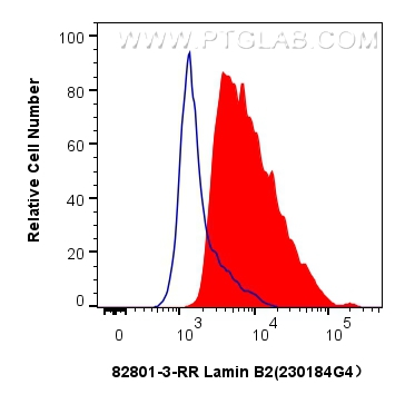 Flow cytometry (FC) experiment of HepG2 cells using Lamin B2 Recombinant antibody (82801-3-RR)