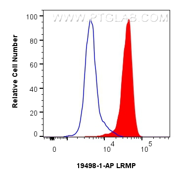 Flow cytometry (FC) experiment of Jurkat cells using LRMP Polyclonal antibody (19498-1-AP)