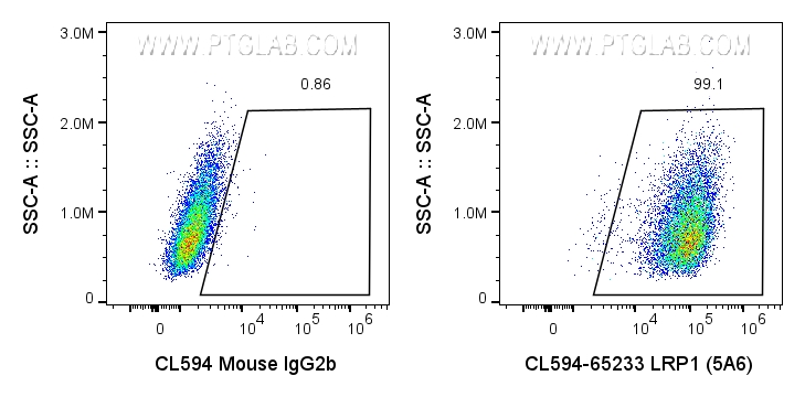 Flow cytometry (FC) experiment of U-87 MG cells using CoraLite® Plus 594 Anti-Human LRP1 (5A6) (CL594-65233)