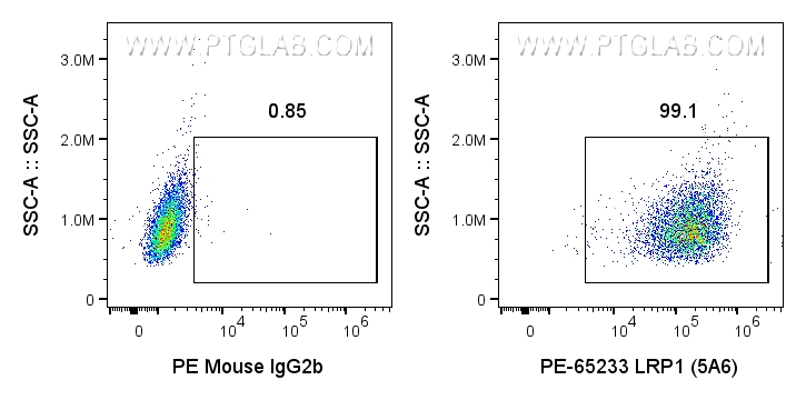 Flow cytometry (FC) experiment of U-87 MG cells using PE Anti-Human LRP1 (5A6) (PE-65233)