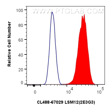 Flow cytometry (FC) experiment of HeLa cells using CoraLite® Plus 488-conjugated LSM12 Monoclonal ant (CL488-67029)