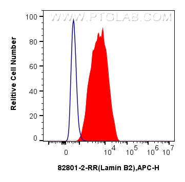 Flow cytometry (FC) experiment of HepG2 cells using Lamin B2 Recombinant antibody (82801-2-RR)