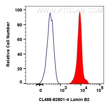 Flow cytometry (FC) experiment of HepG2 cells using CoraLite® Plus 488-conjugated Lamin B2 Recombinant (CL488-82801-4)