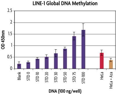 Global DNA Methylation – LINE-1 Assay compares 5-mC levels across cell lines and treatment conditions