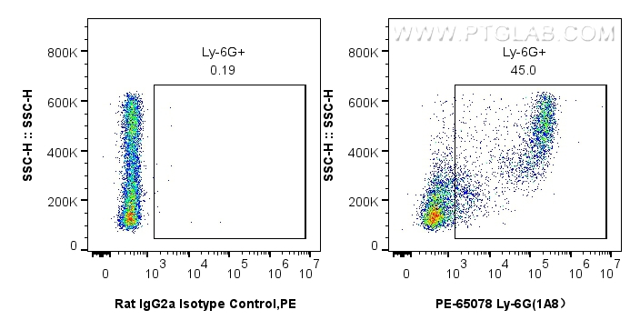 Flow cytometry (FC) experiment of mouse bone marrow cells using PE Anti-Mouse Ly-6G (1A8) (PE-65078)