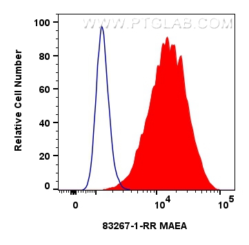 Flow cytometry (FC) experiment of U-251 cells using MAEA Recombinant antibody (83267-1-RR)