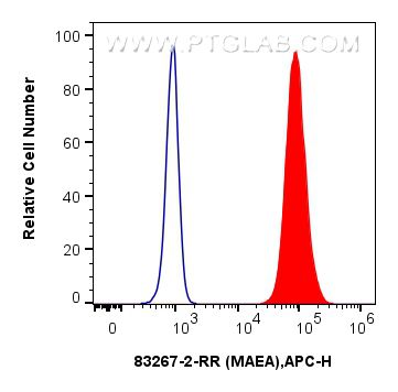 Flow cytometry (FC) experiment of U-251 cells using MAEA Recombinant antibody (83267-2-RR)