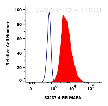 Flow cytometry (FC) experiment of HeLa cells using MAEA Recombinant antibody (83267-4-RR)