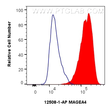 Flow cytometry (FC) experiment of A431 cells using MAGEA4 Polyclonal antibody (12508-1-AP)